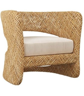 Arteriors Palmeda Lounge Chair 5751