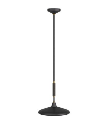 Arteriors Bryson Pendant DPC11