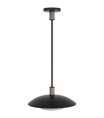 Arteriors Tobias Pendant DSI03