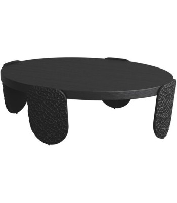 Arteriors Yogi Coffee Table FCS05