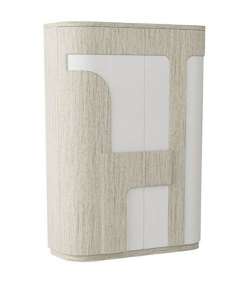 Arteriors Brusa Cabinet FNS08