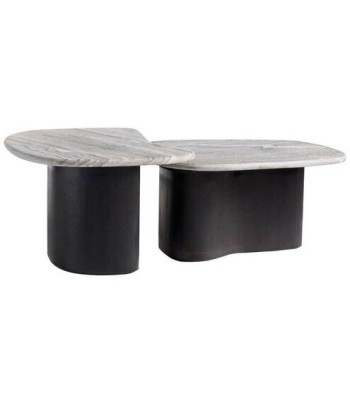 Arteriors Melt Coffee Tables GAFCI01