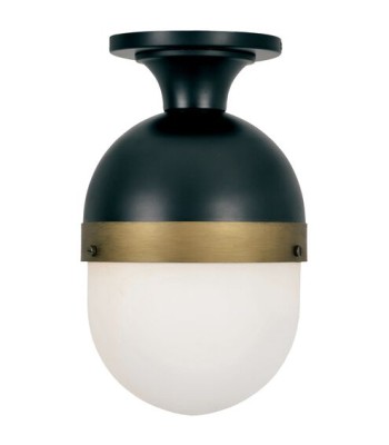 Crystorama Capsule Outdoor Semi Flush CAP-8500-MK-TG