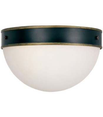 Crystorama Capsule Outdoor Flush CAP-8503-MK-TG