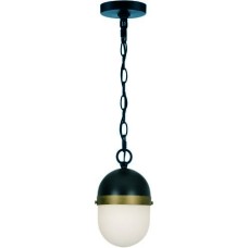 Crystorama Capsule Pendant CAP-8505-MK-TG