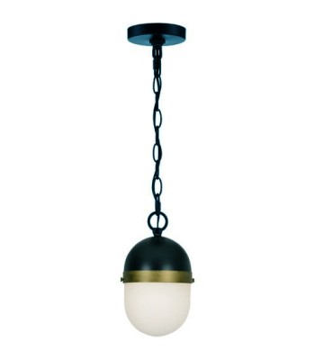 Crystorama Capsule Pendant CAP-8505-MK-TG