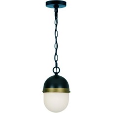 Crystorama Capsule Outdoor Pendant CAP-8506-MK-TG