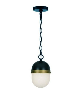 Crystorama Capsule Outdoor Pendant CAP-8506-MK-TG