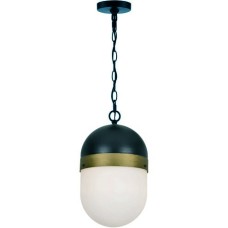 Crystorama Capsule Outdoor Pendant CAP-8507-MK-TG