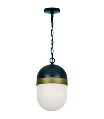 Crystorama Capsule Outdoor Pendant CAP-8507-MK-TG