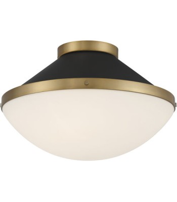 Crystorama Xander Flush Mount XAN-8002-VG-MK