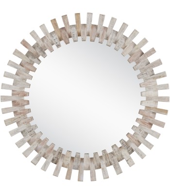 Currey Diza Mirror 1000-0133