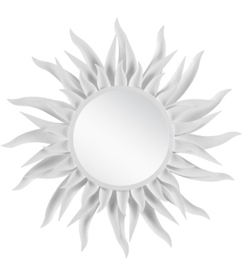 Currey Agave Mirror 1000-0142