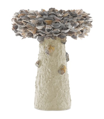 Currey Oyster Shell Bird Bath 1200-0053