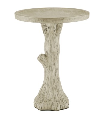 Currey Faux Bois Bird Bath 2200-0044
