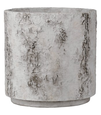 Currey Faux Birch Planter 2200-0054