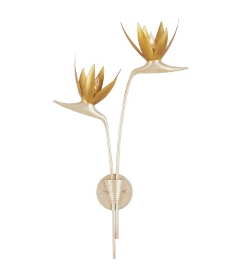 Currey Paradiso Wall Sconce 5000-0238