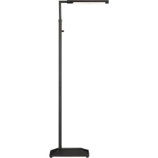Currey Autrand Floor Lamp 8000-0156