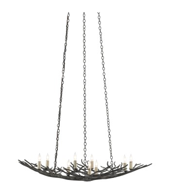 Currey Rainforest Chandelier 9000-0555