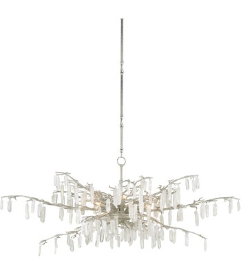 Currey Forest Dawn Chandelier 9000-0608
