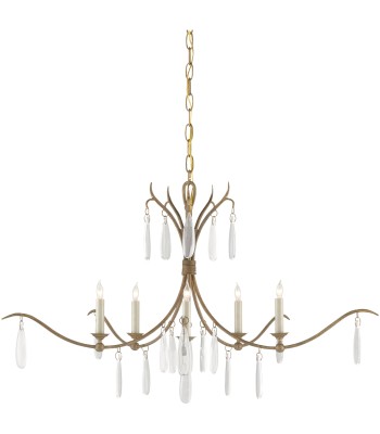 Currey Marshallia Chandelier 9000-0810