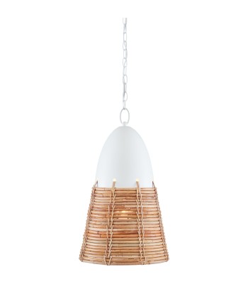 Currey Arundo Pendant 9000-0840