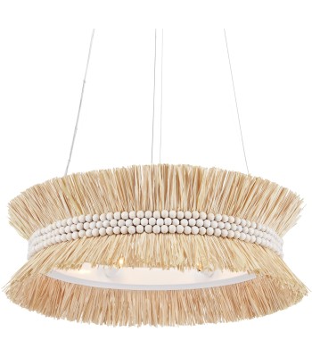 Currey Seychelles Chandelier 9000-0875