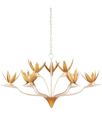 Currey Paradiso Chandelier 9000-0973