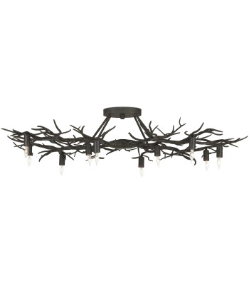 Currey Rainforest Semi-Flush Mount 9000-0981