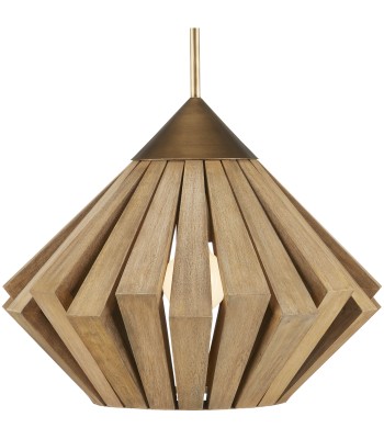 Currey Plunge Pendant 9000-0995