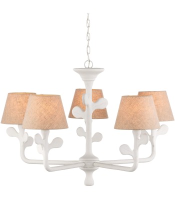 Currey Charny Chandelier 9000-1169