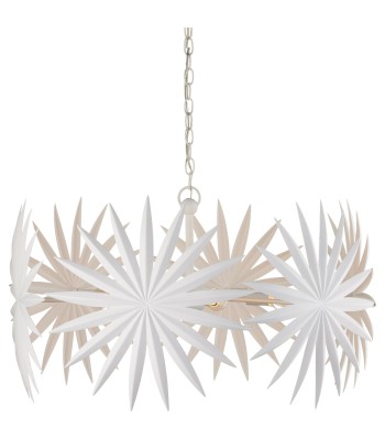 Currey Bismarkia Chandelier 9000-1205
