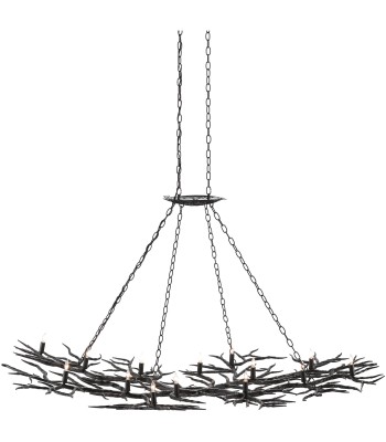 Currey Rainforest Chandelier 9007
