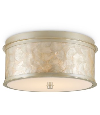 Currey Neith Flush Mount 9999-0064