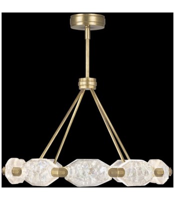 Fine Art Allison Paladino Ceiling Pendant 873040-2ST