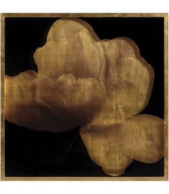 John Richard Mark McDowell Wall Art GBG-2004