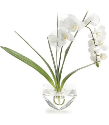 John Richard Leah Decorative Flowers JRB-4181W