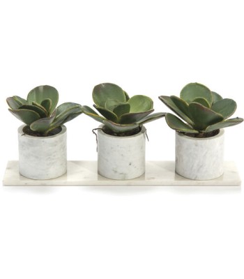 John Richard Marble Decorative Plant JRB-4184W