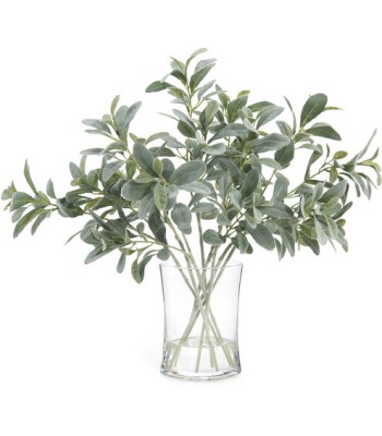 John Richard Lambs Ear Decorative Plant JRB-4231W
