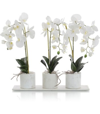 John Richard Marble Decorative Orchid JRB-4709W