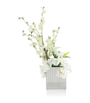 John Richard Reflections Botanical/Floral JRB-5592