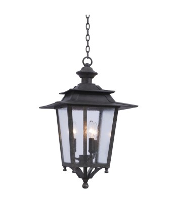 Kalco Saddlebrook Outdoor Hanging Lantern 404150AI