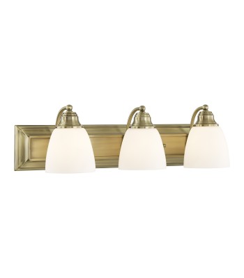 Livex Springfield Bath Light 10503-01
