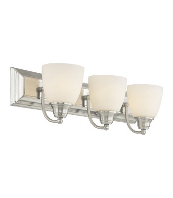 Livex Springfield Bath Light 10503-91