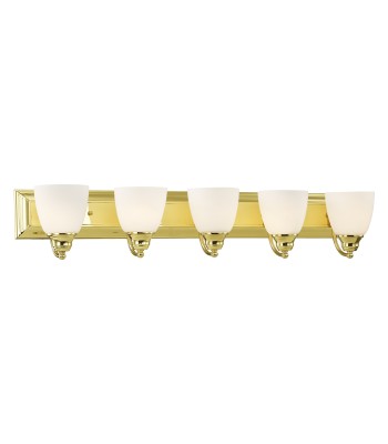 Livex Springfield Bath Light 10505-02
