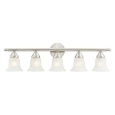 Livex Neptune Bath Light 1065-91