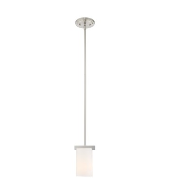 Livex Astoria Ceiling Pendant 1321-91
