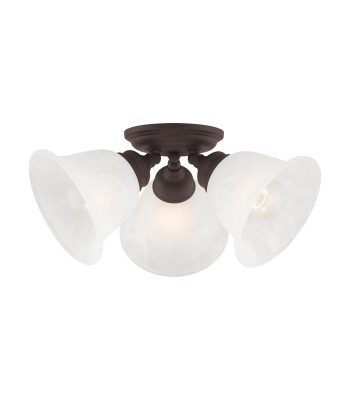 Livex Essex Semi-Flush 1358-07