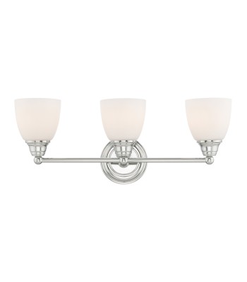 Livex Somerville Bath Light 13663-05