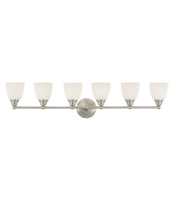 Livex Somerville Bath Light 13666-91